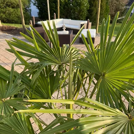 דירה Ferienoase Am Möhnesee